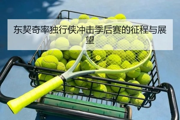 东契奇率独行侠冲击季后赛的征程与展望